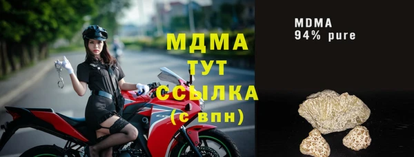 индика Алзамай