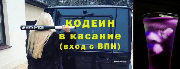 индика Алзамай