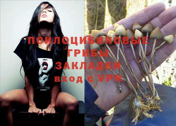 индика Алзамай