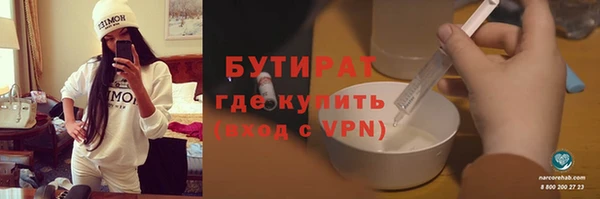 индика Алзамай