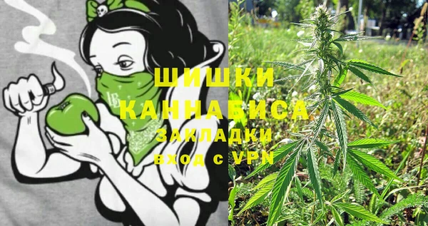 индика Алзамай