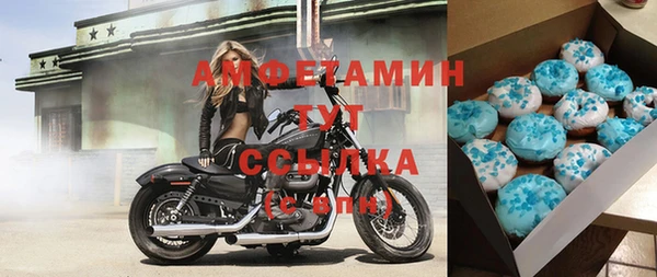 индика Алзамай