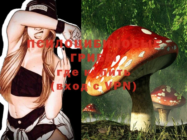 PSILOCYBIN Алексин