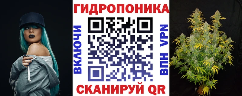 Шишки марихуана сатива  сайты даркнета состав  Октябрьск  магазин  наркотиков 